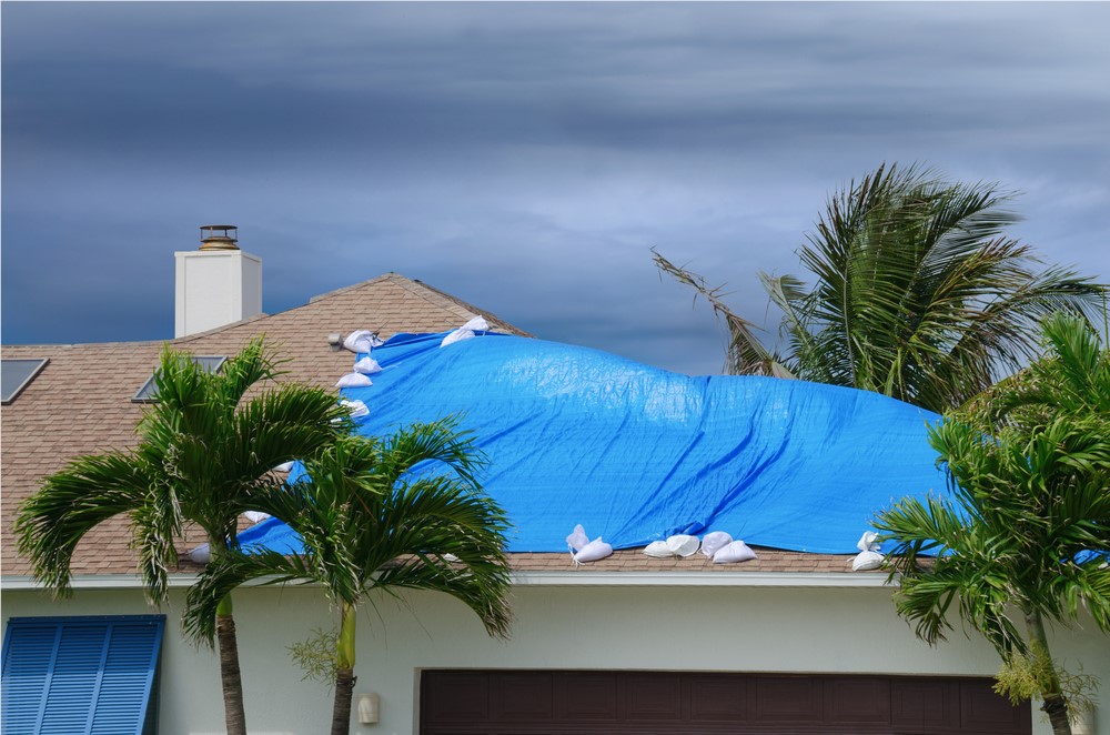 roof replace