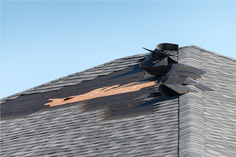 damage repair