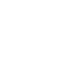 icon door