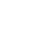 icon house no roof
