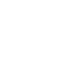 icon roof replace