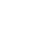 icon shield white